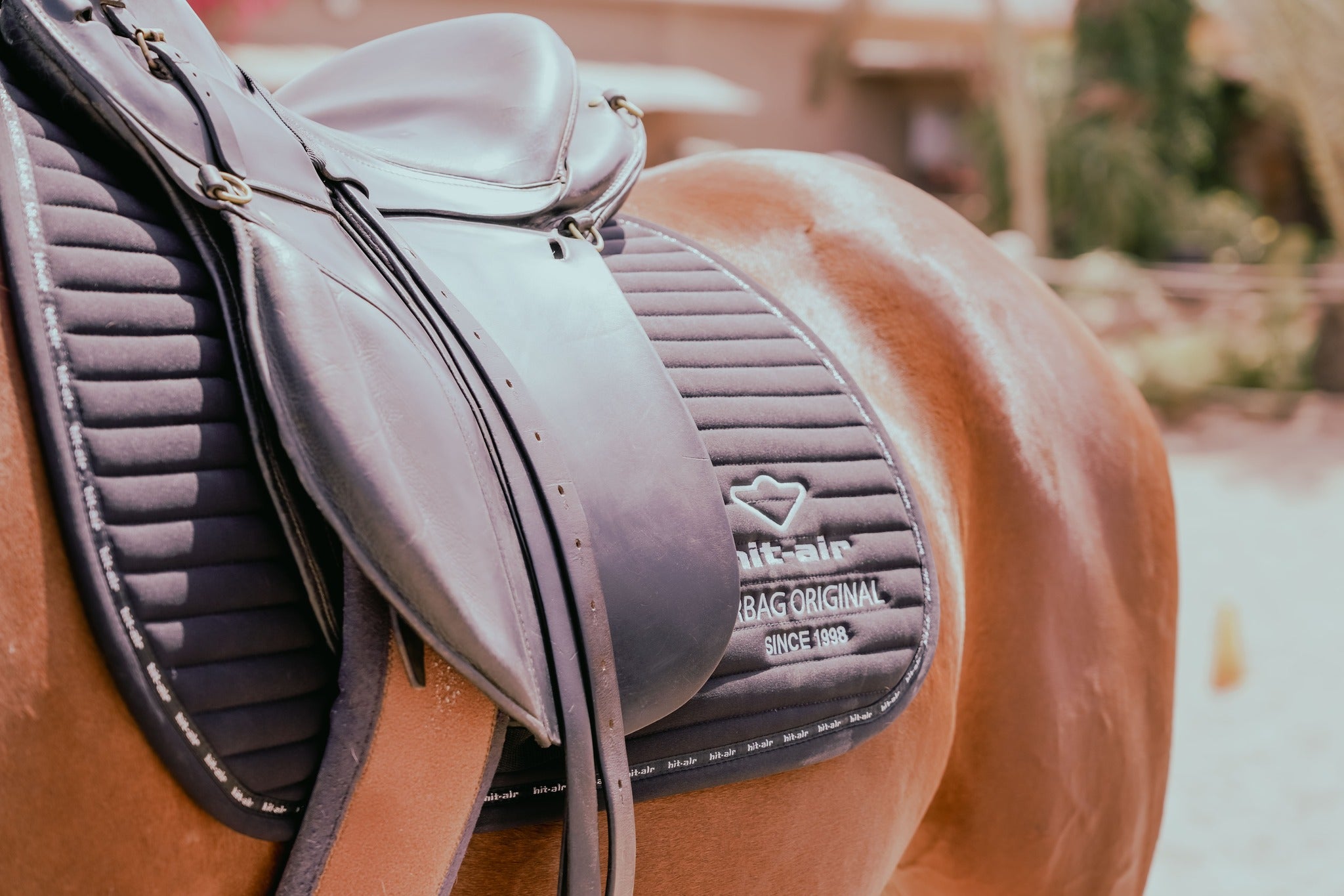 Equipement et Accessoires Equitation